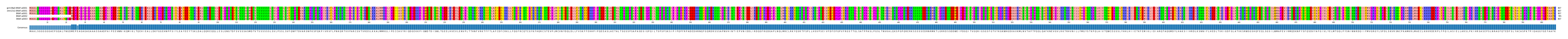 Multiple Alignments (by translate haplotype frequency)