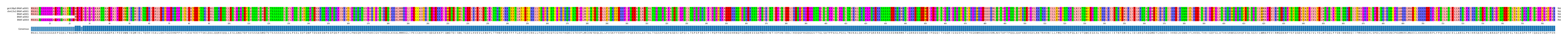 Multiple Alignments (by translate haplotype frequency)