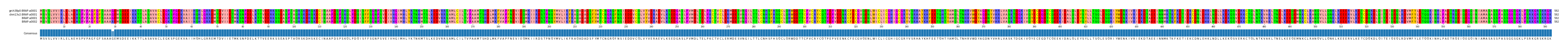 Multiple Alignments (by translate haplotype similarity)