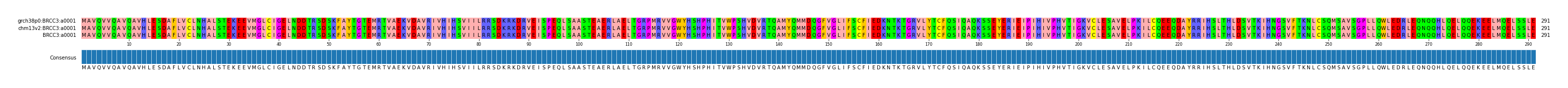 Multiple Alignments (by translate haplotype similarity)