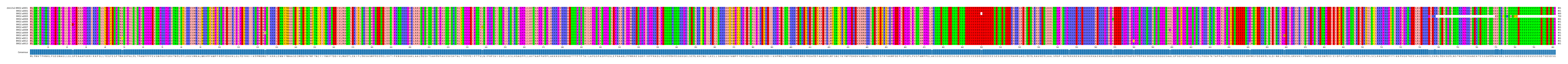 Multiple Alignments (by translate haplotype frequency)