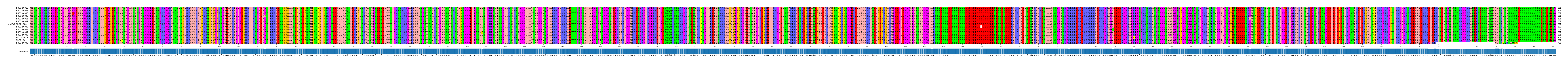 Multiple Alignments (by translate haplotype similarity)
