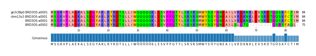 Multiple Alignments (by translate haplotype similarity)
