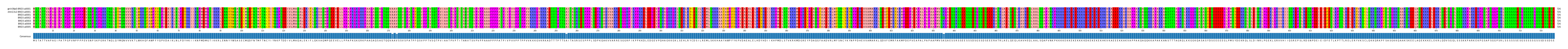 Multiple Alignments (by translate haplotype frequency)