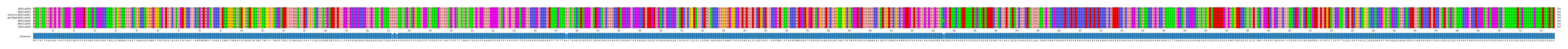 Multiple Alignments (by translate haplotype similarity)