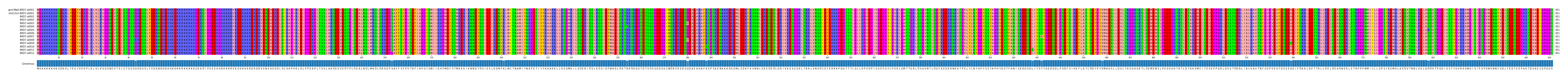 Multiple Alignments (by translate haplotype frequency)