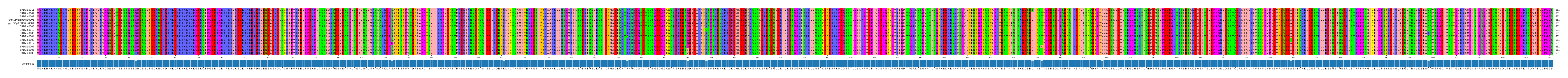 Multiple Alignments (by translate haplotype similarity)