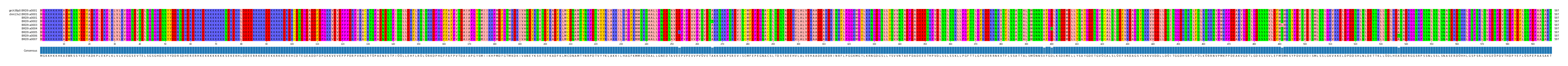Multiple Alignments (by translate haplotype frequency)