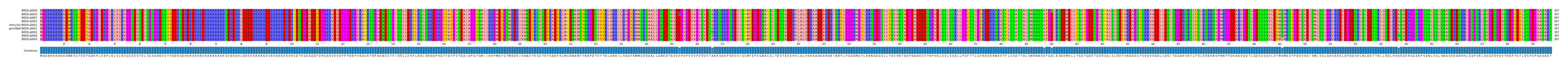 Multiple Alignments (by translate haplotype similarity)