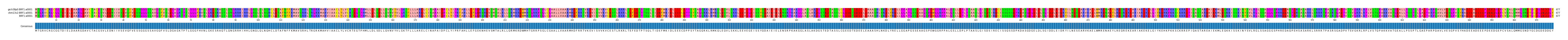 Multiple Alignments (by translate haplotype similarity)