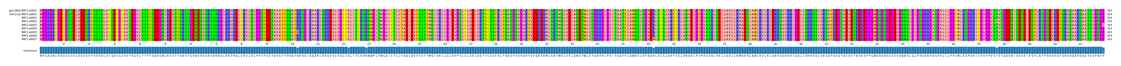 Multiple Alignments (by translate haplotype frequency)