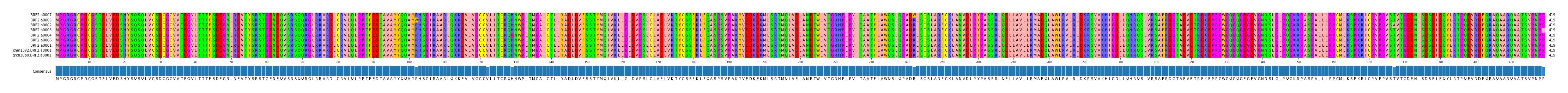 Multiple Alignments (by translate haplotype similarity)
