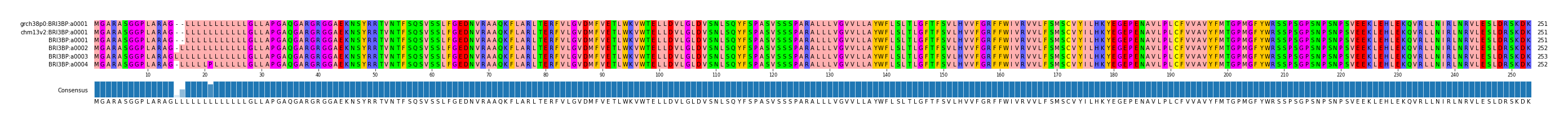Multiple Alignments (by translate haplotype frequency)