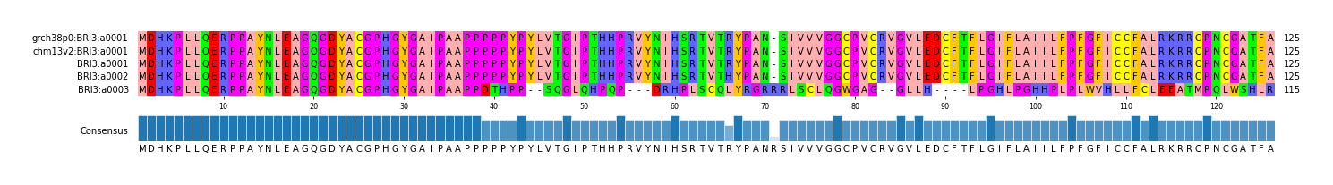 Multiple Alignments (by translate haplotype frequency)