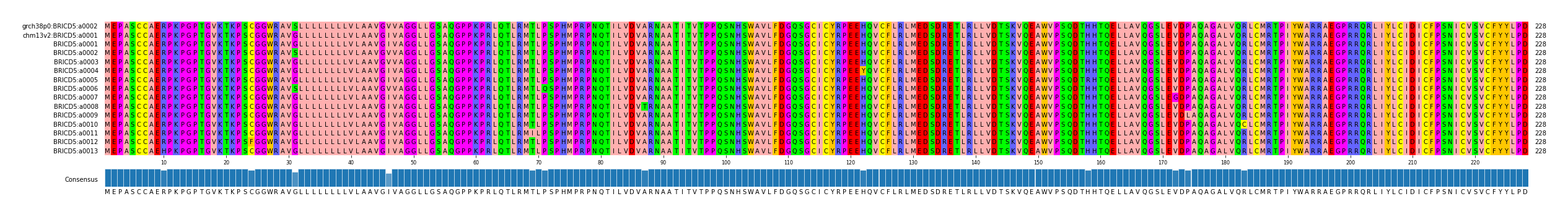 Multiple Alignments (by translate haplotype frequency)