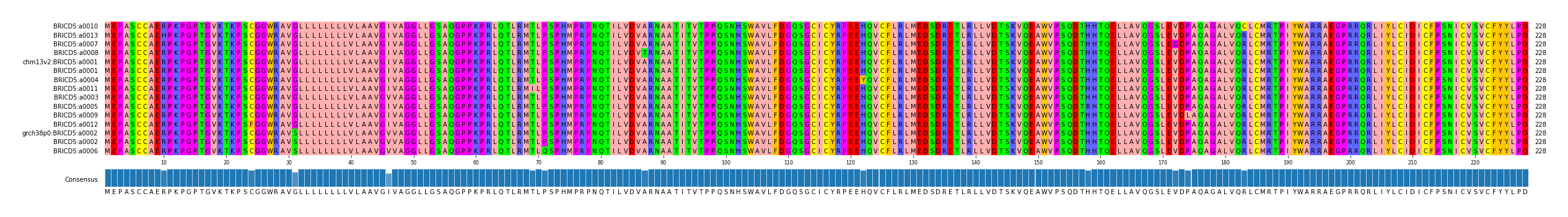 Multiple Alignments (by translate haplotype similarity)