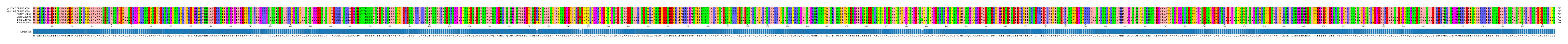 Multiple Alignments (by translate haplotype frequency)