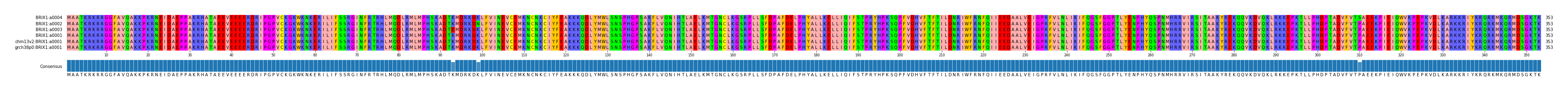Multiple Alignments (by translate haplotype similarity)