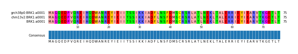 Multiple Alignments (by translate haplotype similarity)