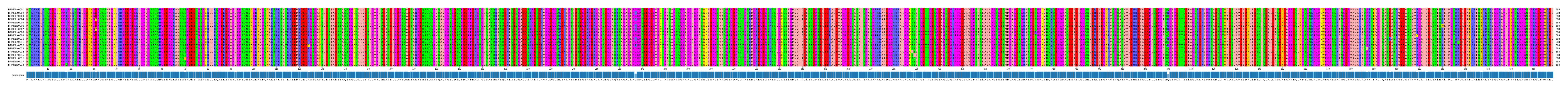 Multiple Alignments (by translate haplotype frequency)