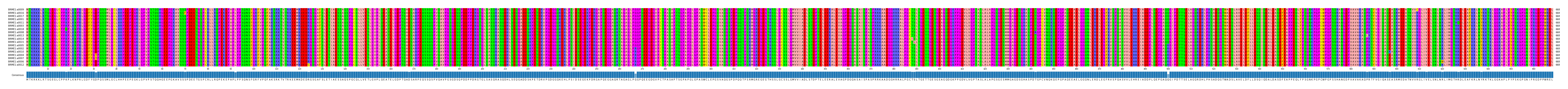 Multiple Alignments (by translate haplotype similarity)