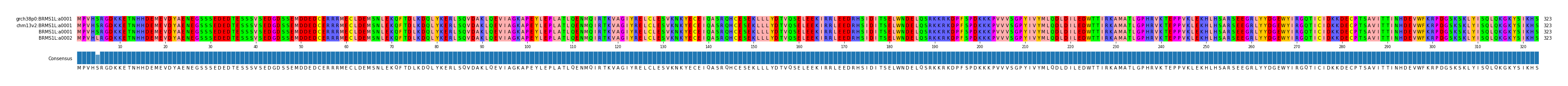 Multiple Alignments (by translate haplotype similarity)