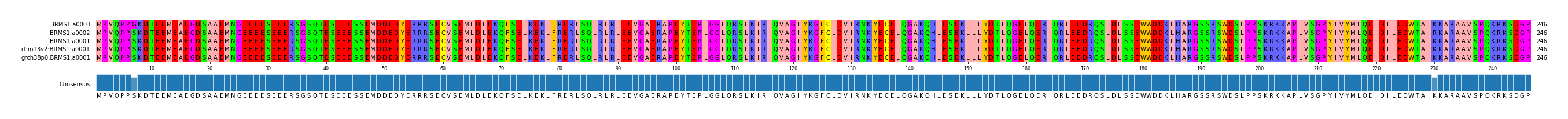 Multiple Alignments (by translate haplotype similarity)