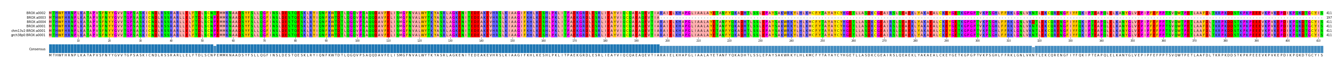 Multiple Alignments (by translate haplotype similarity)