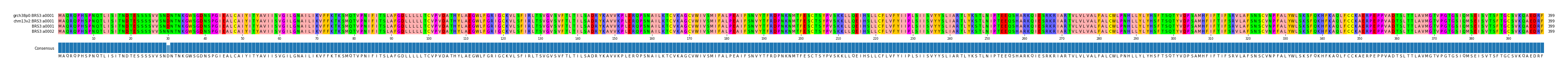 Multiple Alignments (by translate haplotype similarity)