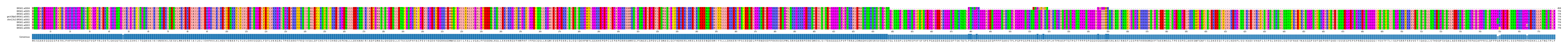 Multiple Alignments (by translate haplotype similarity)