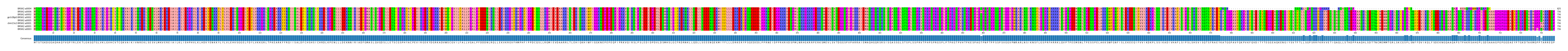 Multiple Alignments (by translate haplotype similarity)