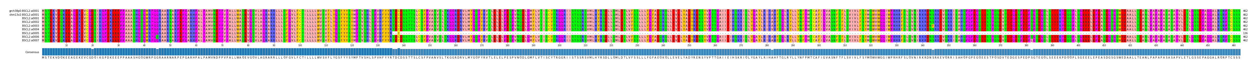 Multiple Alignments (by translate haplotype frequency)