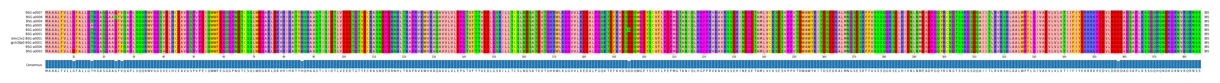 Multiple Alignments (by translate haplotype similarity)