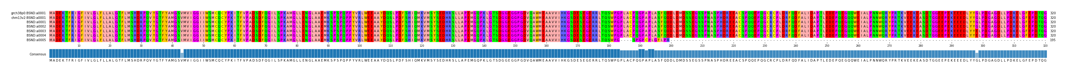Multiple Alignments (by translate haplotype similarity)