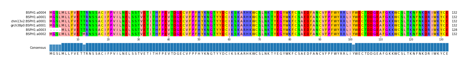 Multiple Alignments (by translate haplotype similarity)
