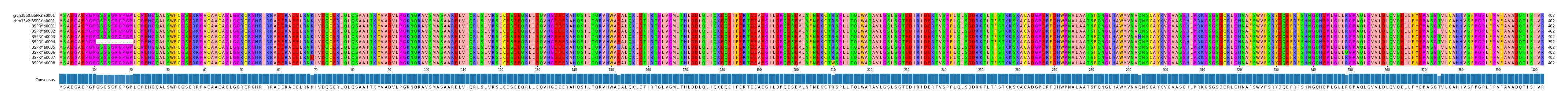 Multiple Alignments (by translate haplotype frequency)