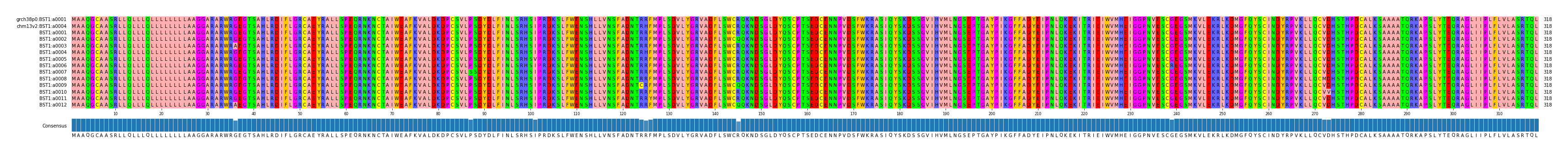 Multiple Alignments (by translate haplotype frequency)