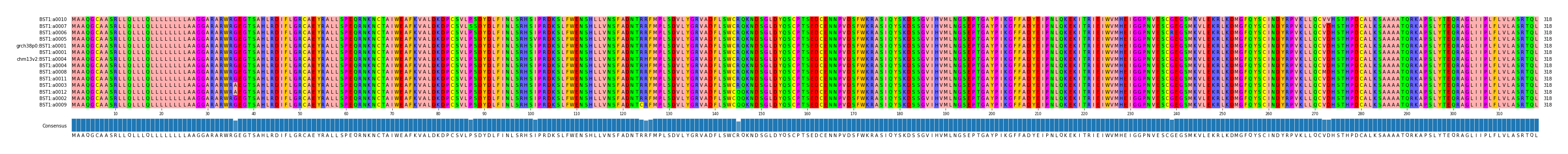 Multiple Alignments (by translate haplotype similarity)