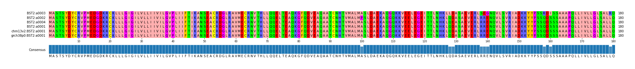 Multiple Alignments (by translate haplotype similarity)