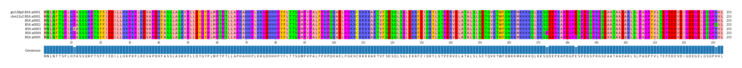 Multiple Alignments (by translate haplotype frequency)