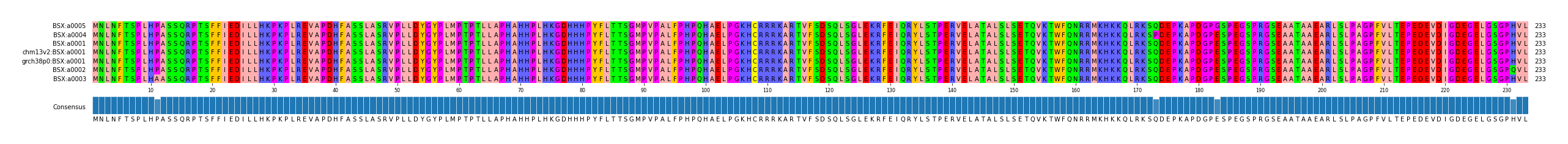 Multiple Alignments (by translate haplotype similarity)