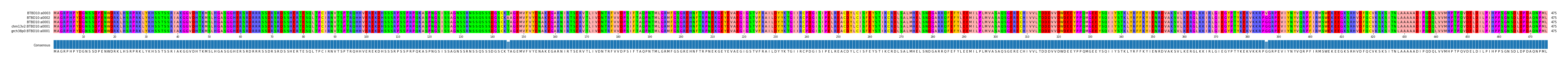 Multiple Alignments (by translate haplotype similarity)