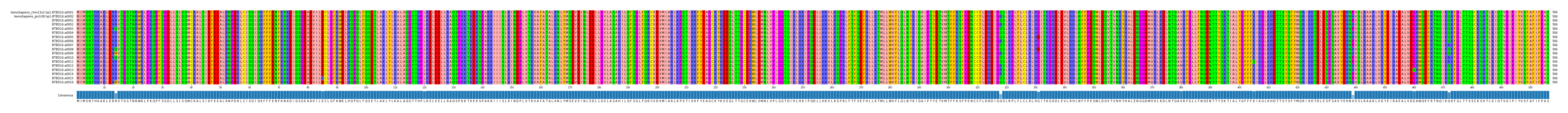 Multiple Alignments (by translate haplotype frequency)