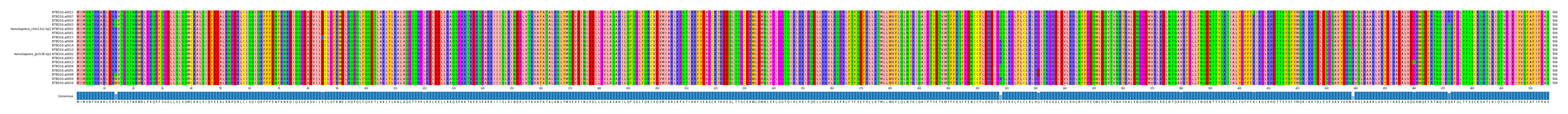 Multiple Alignments (by translate haplotype similarity)
