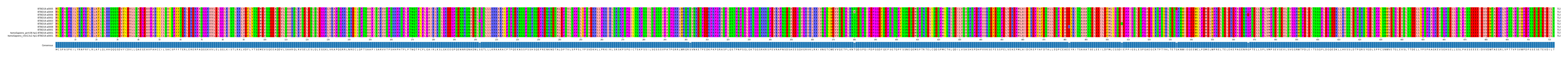 Multiple Alignments (by translate haplotype similarity)