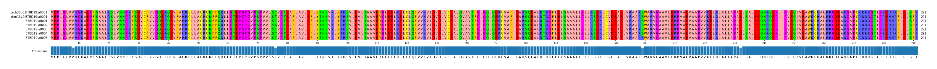 Multiple Alignments (by translate haplotype frequency)