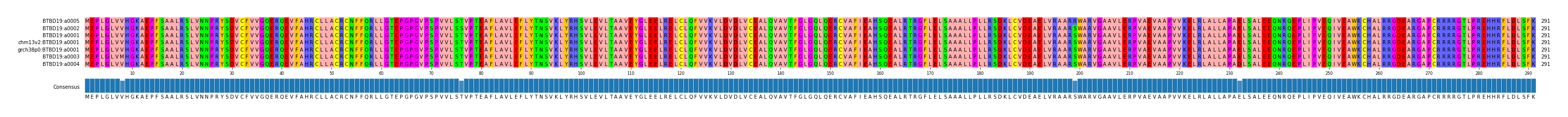 Multiple Alignments (by translate haplotype similarity)