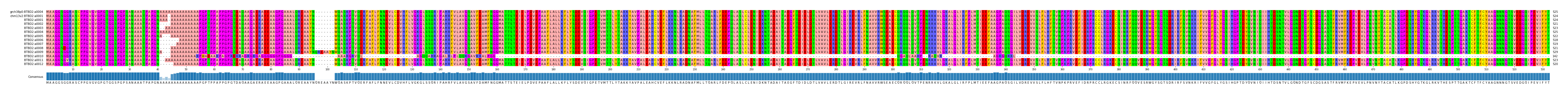 Multiple Alignments (by translate haplotype frequency)