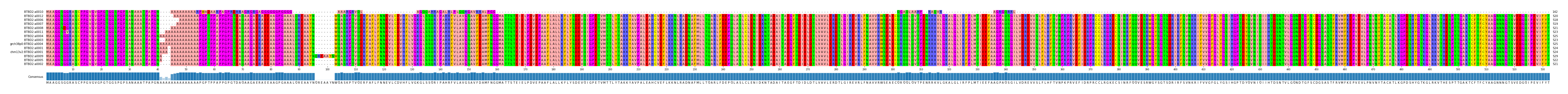 Multiple Alignments (by translate haplotype similarity)