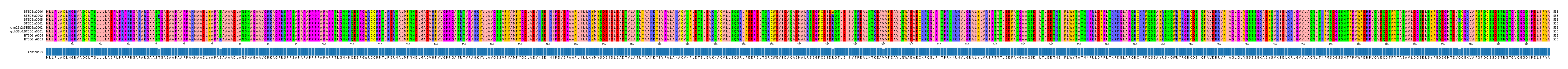Multiple Alignments (by translate haplotype similarity)